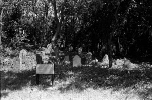 Dotnuvos žydų kapinės