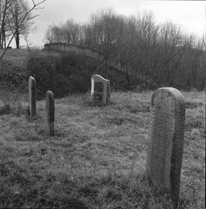 Kretingos žydų kapinės 3