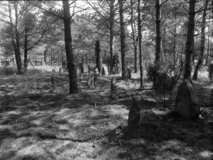 Merkinės senos žydų kapinės II
