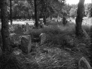 Merkinės senos žydų kapinės VII