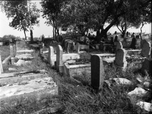 Rokiškio žydų kapinės